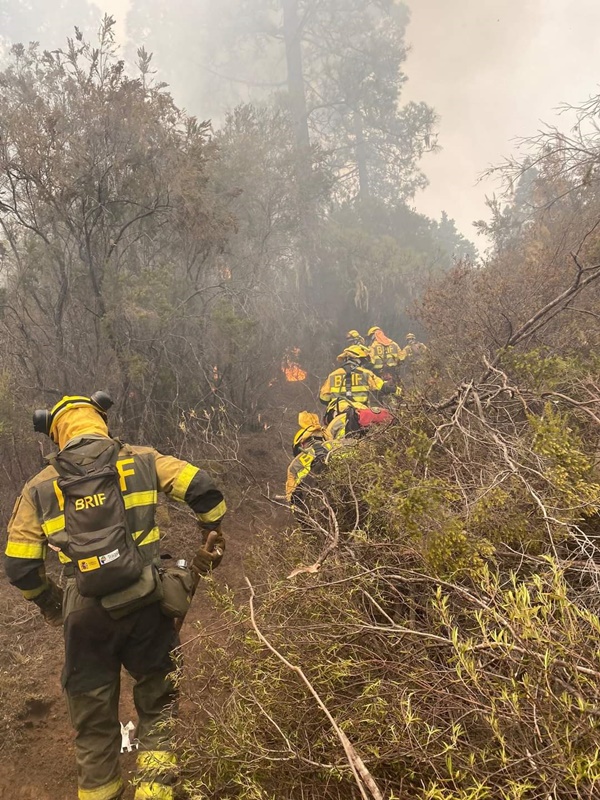 Agentes de la brigada forestal trabajando en el incendio de Tenerife