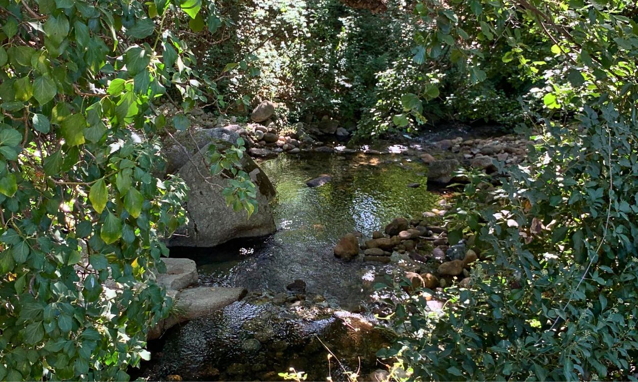 Río Garganta Mayor que atraviesa Garganta La Olla, Cáceres. Irene G. Domínguez