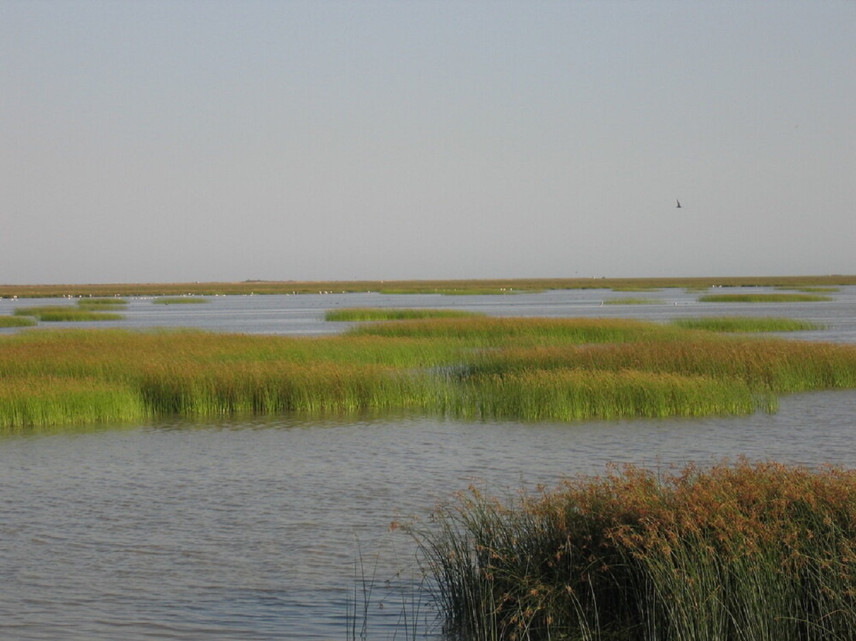 Parque de Doñana. Unesco