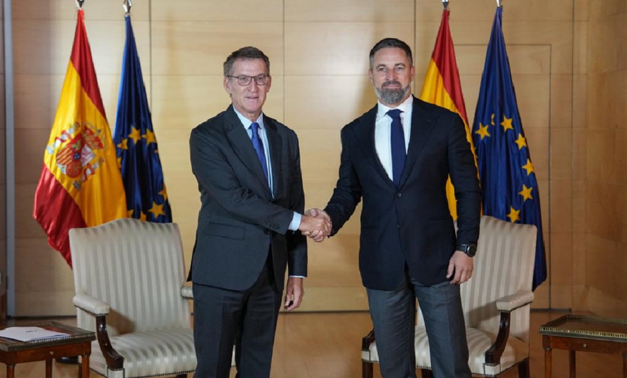 Alberto Núñez Feijóo y Santiago Abascal, reunidos en el Congreso. PP