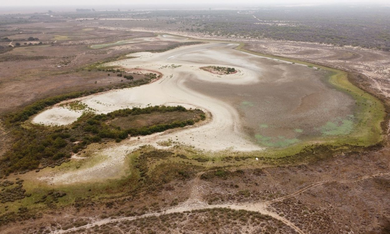 Imagen aérea de la laguna de Santa Olalla, en el Parque Nacional de Doñana (Huelva). EP.