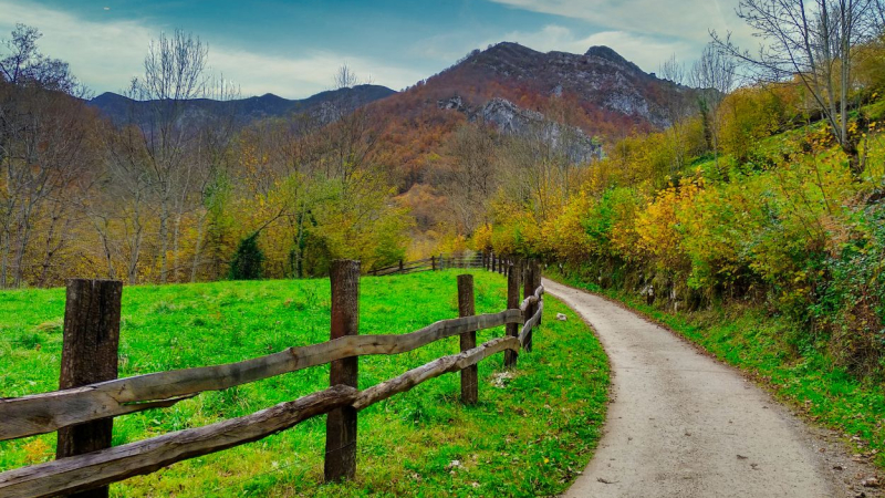 Ruta de senderismo que atraviesa el Parque Natural de Redes, ubicado en el Principado de Asturias. Canva