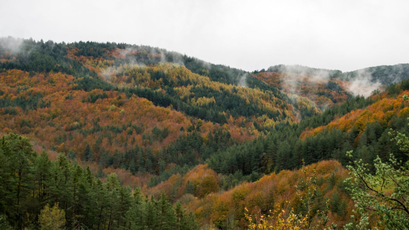 Imagen de archivo del impresionante Valle del Roncal, ubicado en la provincia de Navarra. Canva