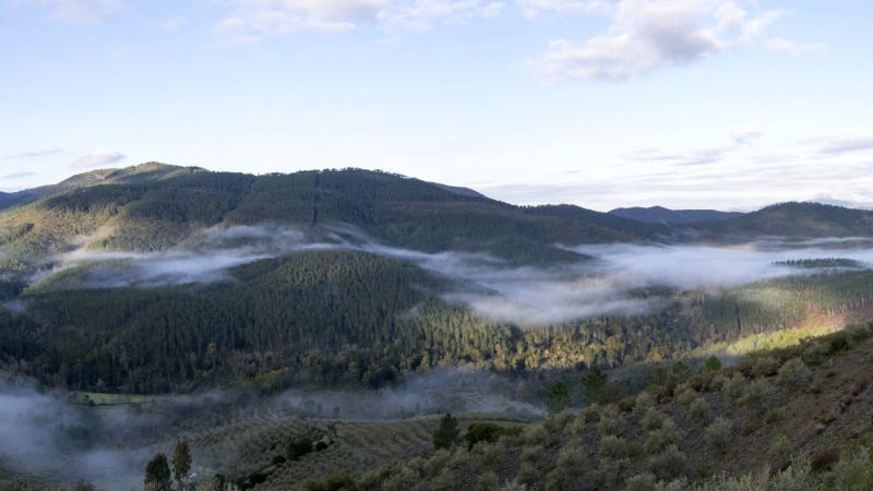 Vista panorámica del Valle del Ambroz, que contiene impresionante el Castañar de Hervás, en la provincia de Cáceres. Canva
