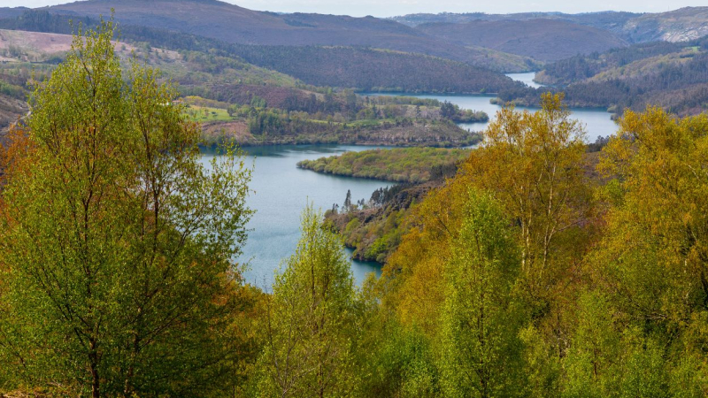 Vista panorámica del Parque Natural de las Fragas do Eume que se encuentra en Galicia. Canva