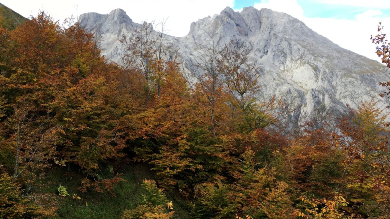 Imagen del Parque Natural Picos de Europa ubicado entre el Principado de Asturias y Cantabria. Canva