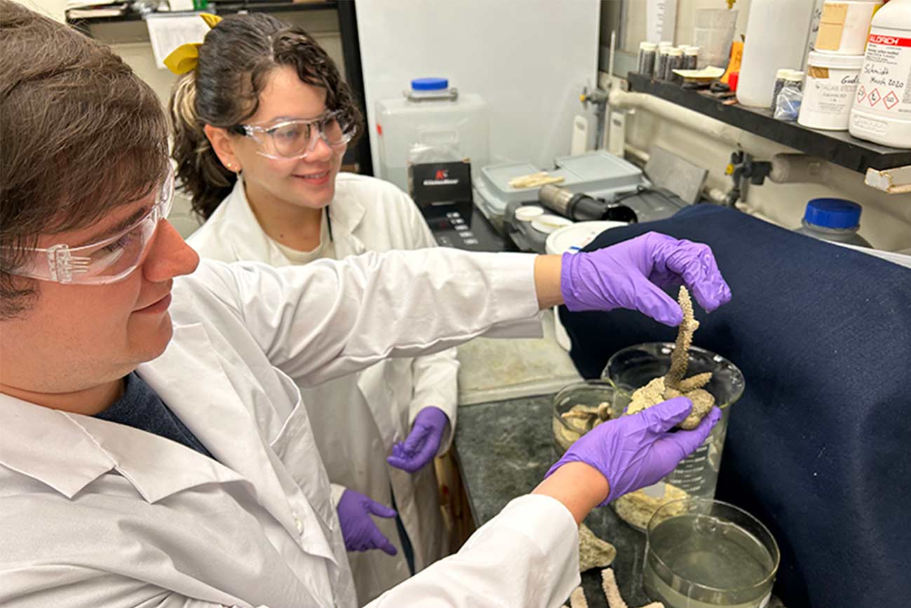 Estudiantes de posgrado del Departamento de Química de la Universidad Purdue, fijan corales utilizando formulaciones adhesivas desarrolladas a partir de componentes de base biológica. (Foto de la Universidad Purdue:Gudrun Schmidt)
