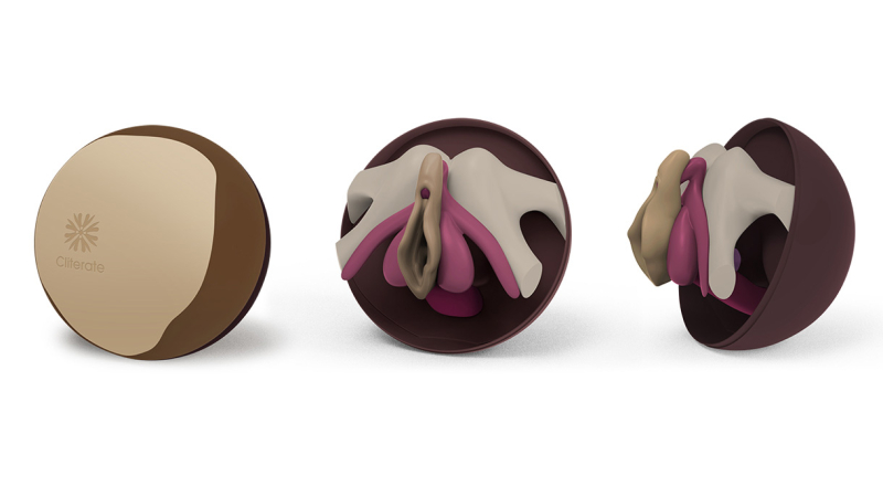 Cliterate es una herramienta educativa para profesionales de la salud y educadores que se separa para mostrar la relación entre la vulva, el clítoris y la pelvis. Crédito Cliterate