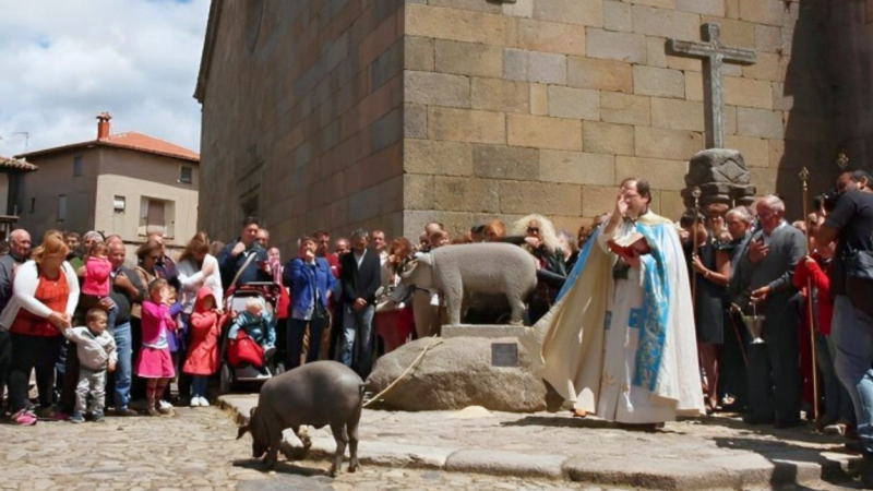 El cura bendice al Marrano de San Antón en La Alberca, Salamanca. laalberca.com