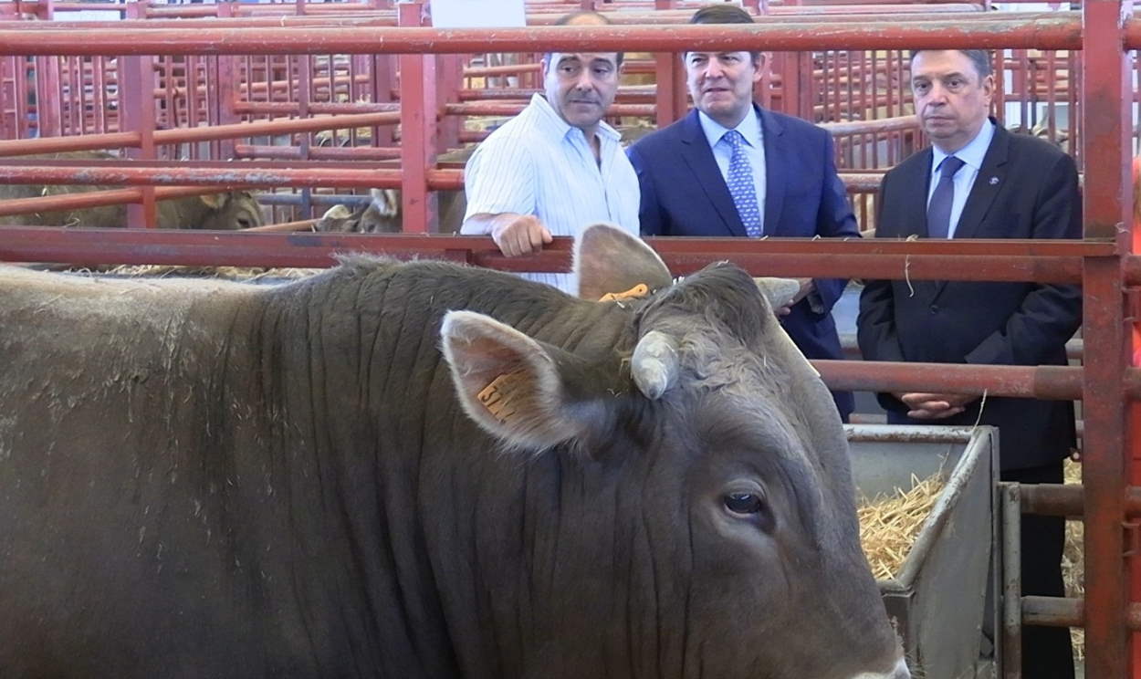 Planas lee la cartilla a Mañueco por “politizar” la sanidad animal. EP.