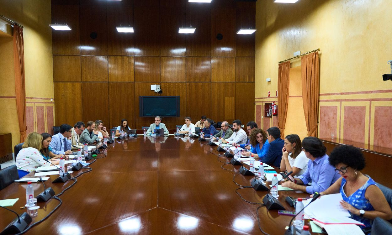 Comisión de Fomento en el Parlamento andaluz por la ley de regadíos sobre Doñana. EP.