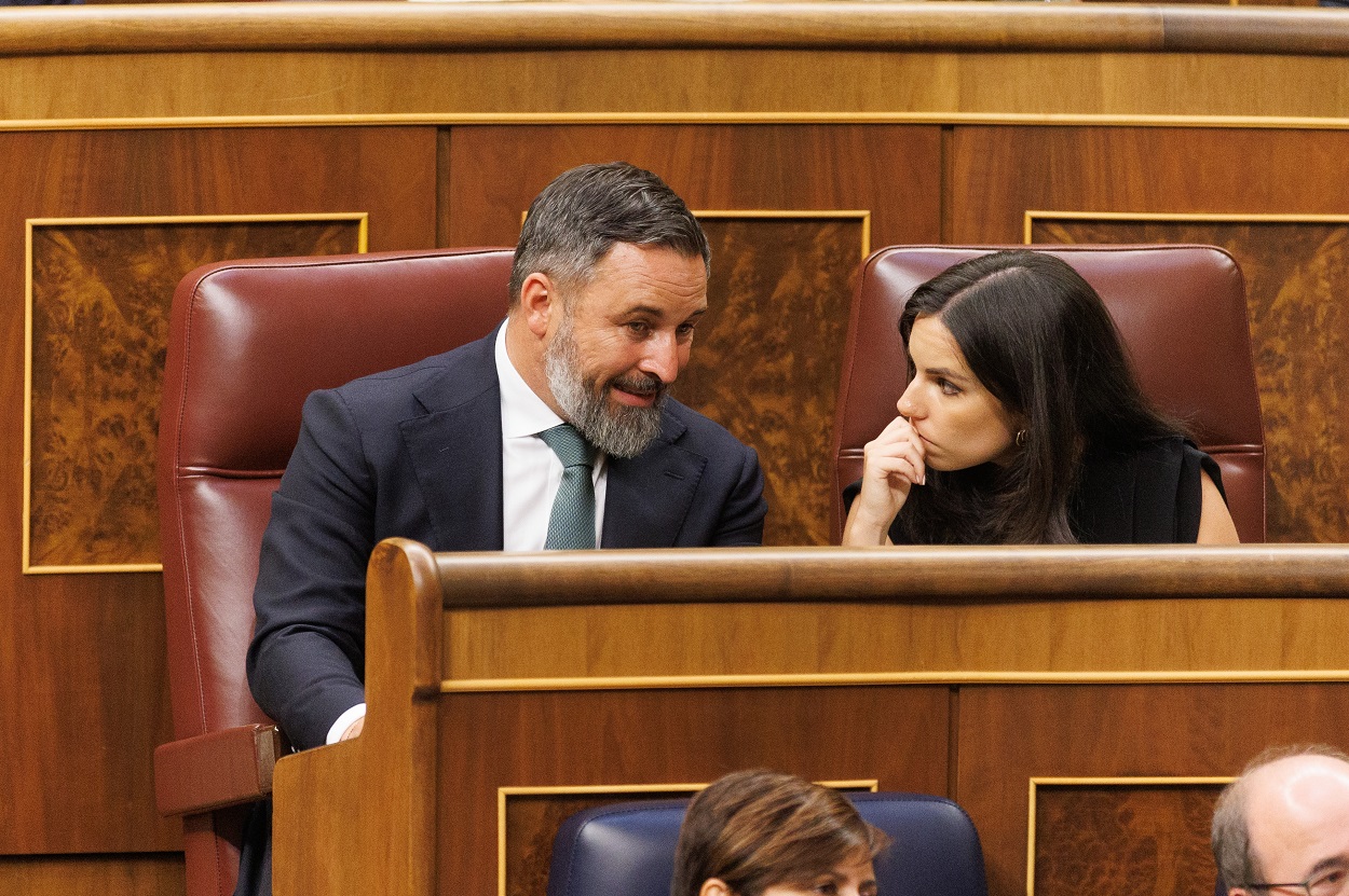 Pepa Millán y Santiago Abascal en el Congreso. EP