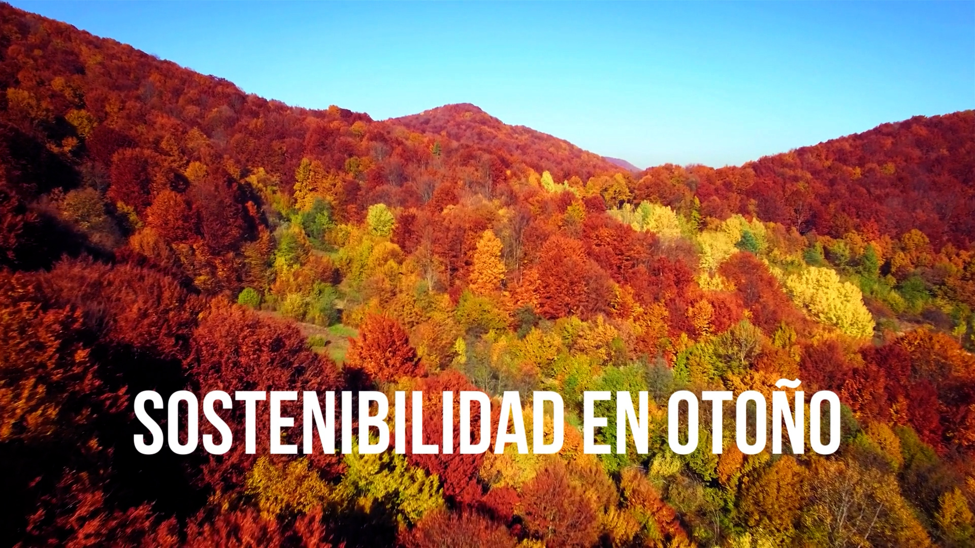 Pon a prueba tus conocimientos sobre sostenibilidad