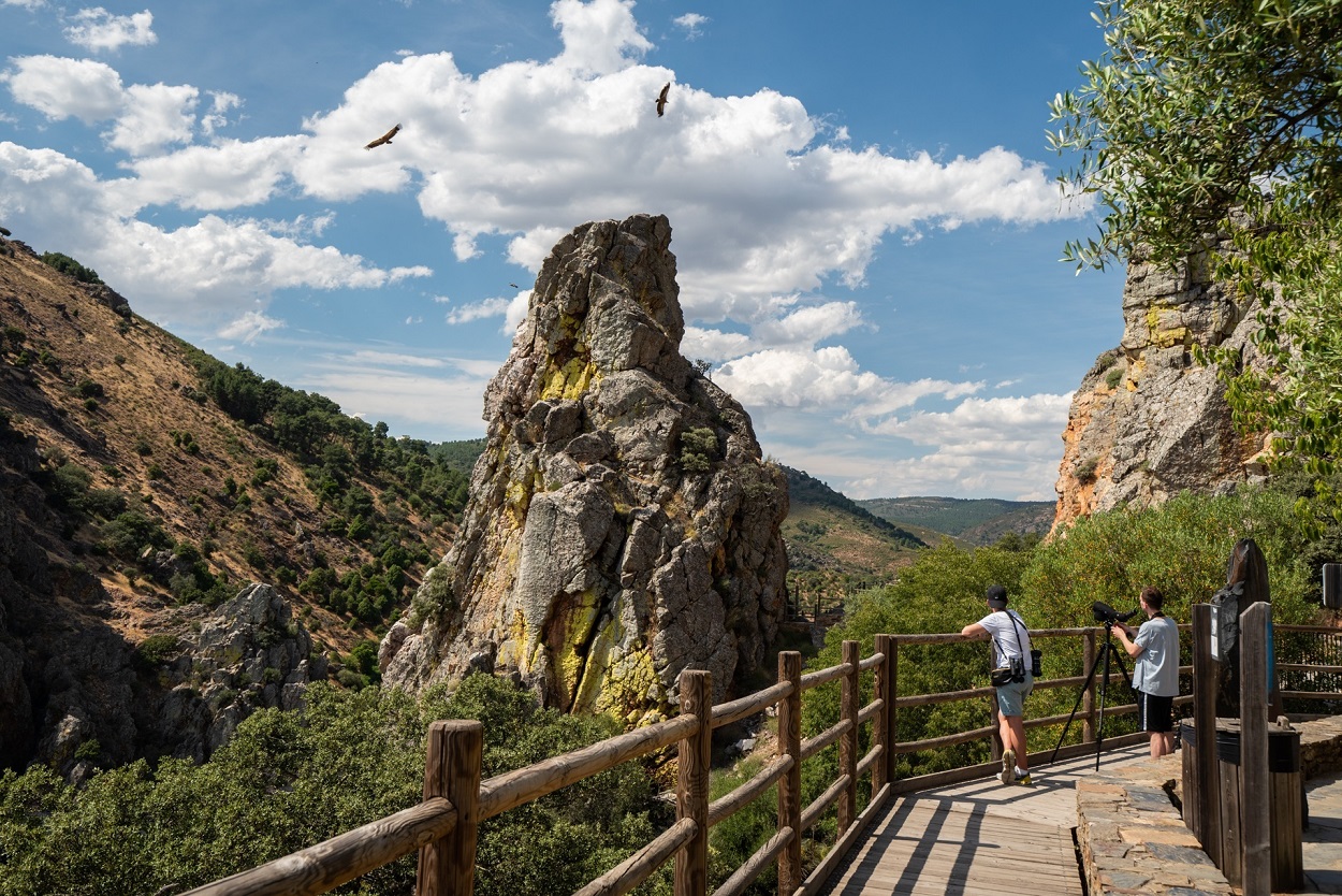 Torrejón el Rubio en el Parque Nacional de Monfragüe. Miguel Ángel Espino / Europa Press.