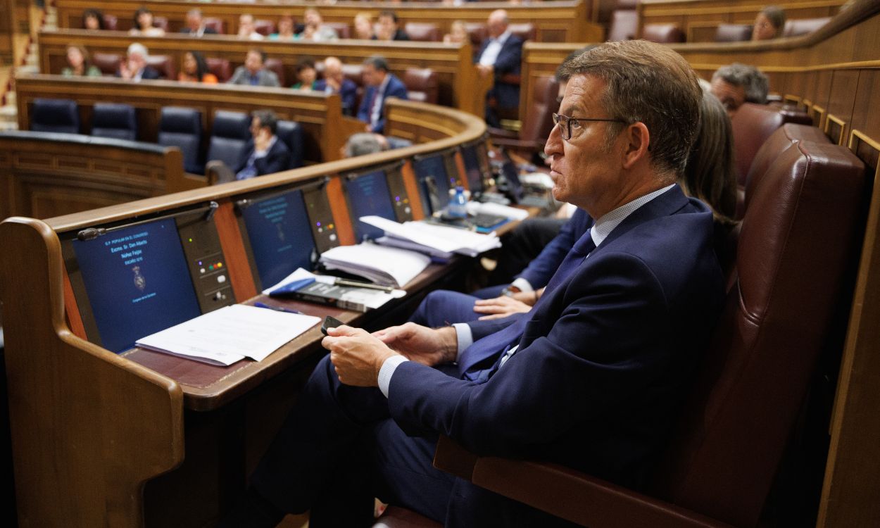 El presidente del PP, Alberto Núñez Feijóo, en el Congreso de los Diputados. EP.