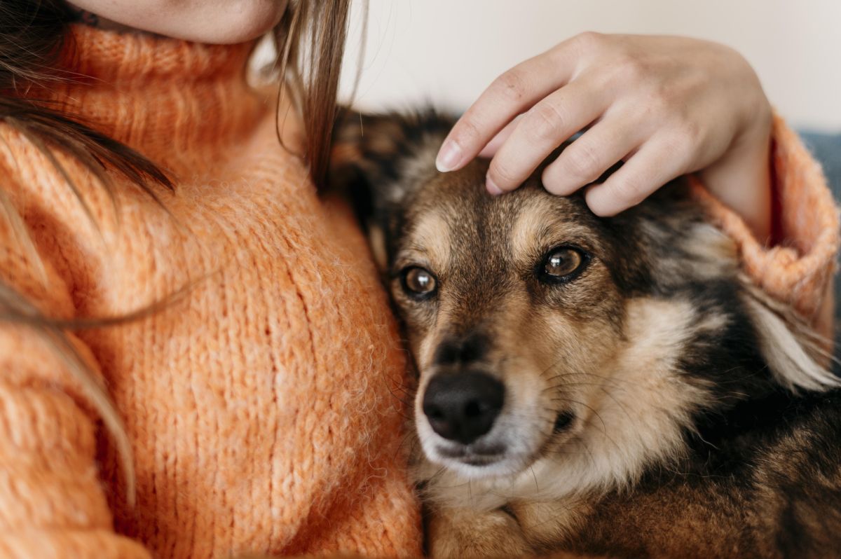 Una mujer acaricia a su perro