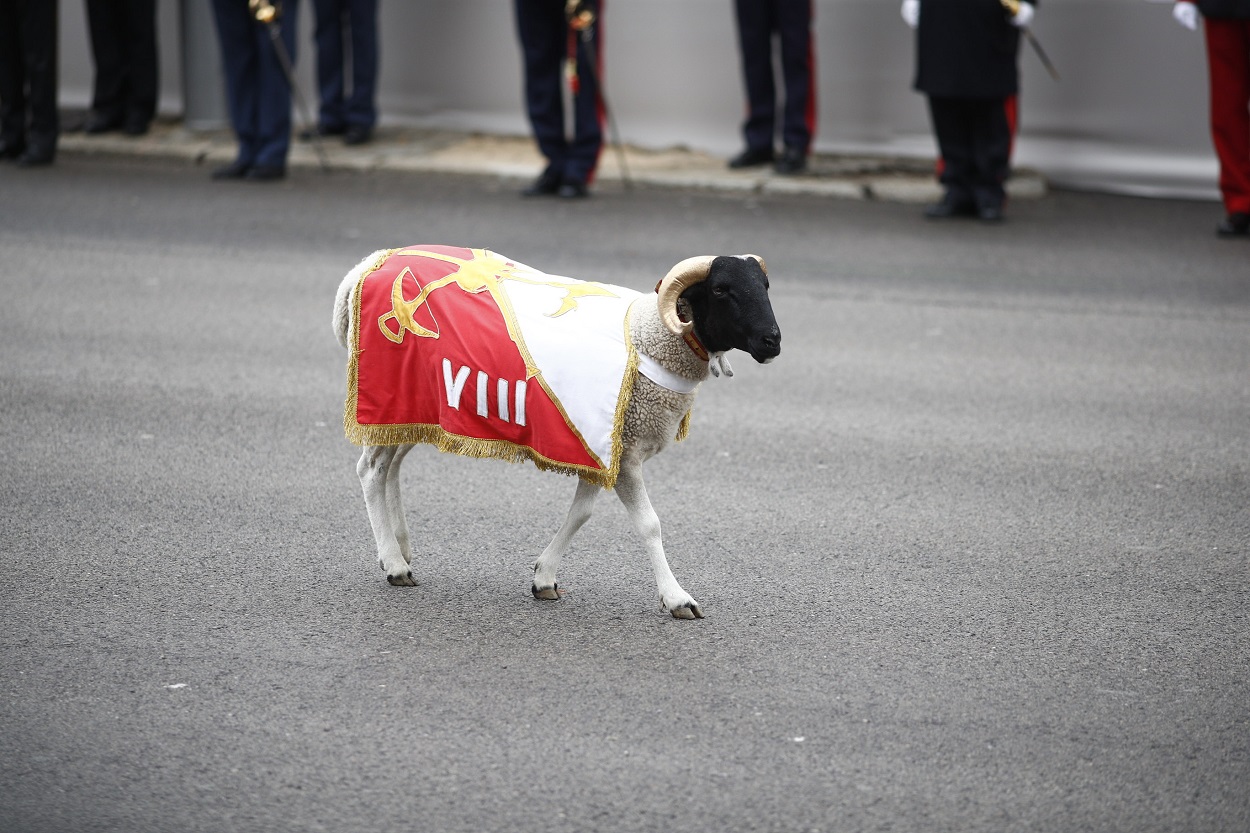 La cabra de la Legión en el desfile del 12 de Octubre en Madrid, Día de la Hispanidad. Eduardo Parra / Europa Press