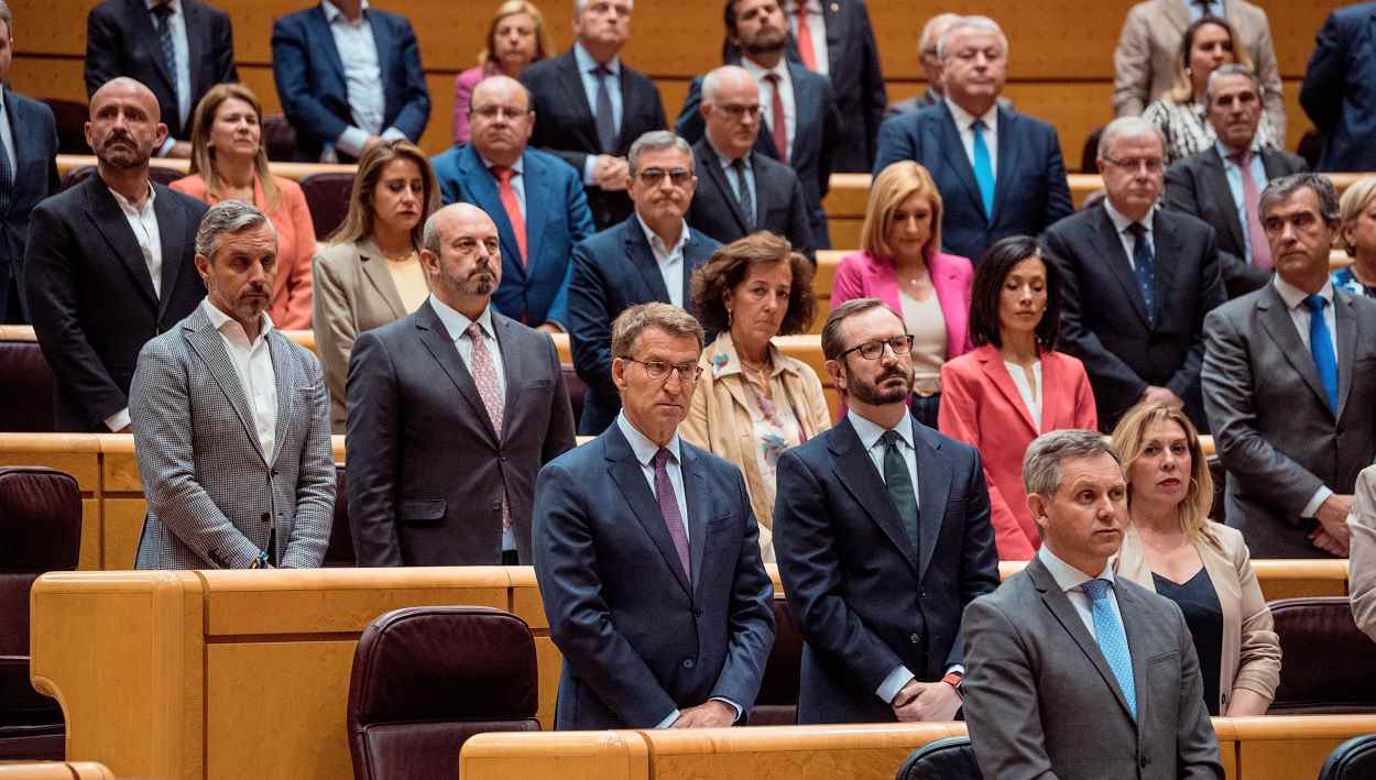 Alberto Núñez Feijóo, líder del PP, con su grupo parlamentario en el Senado. EP