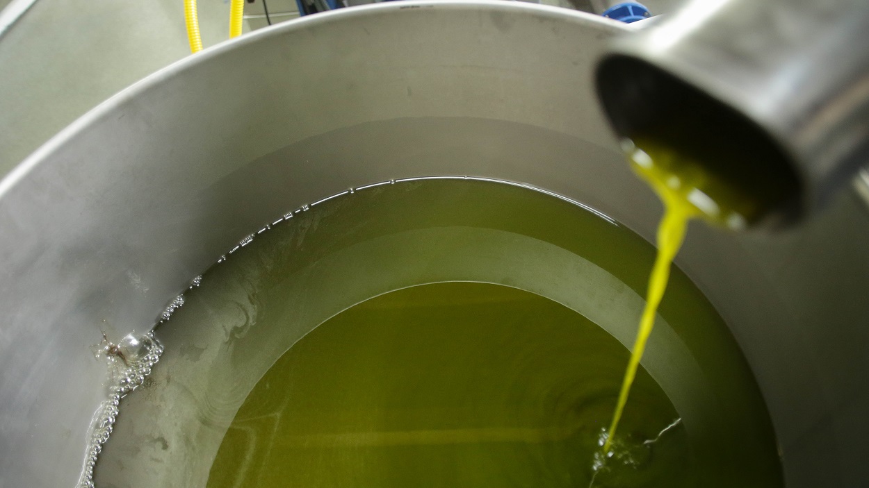 Producción de aceite de oliva. EP