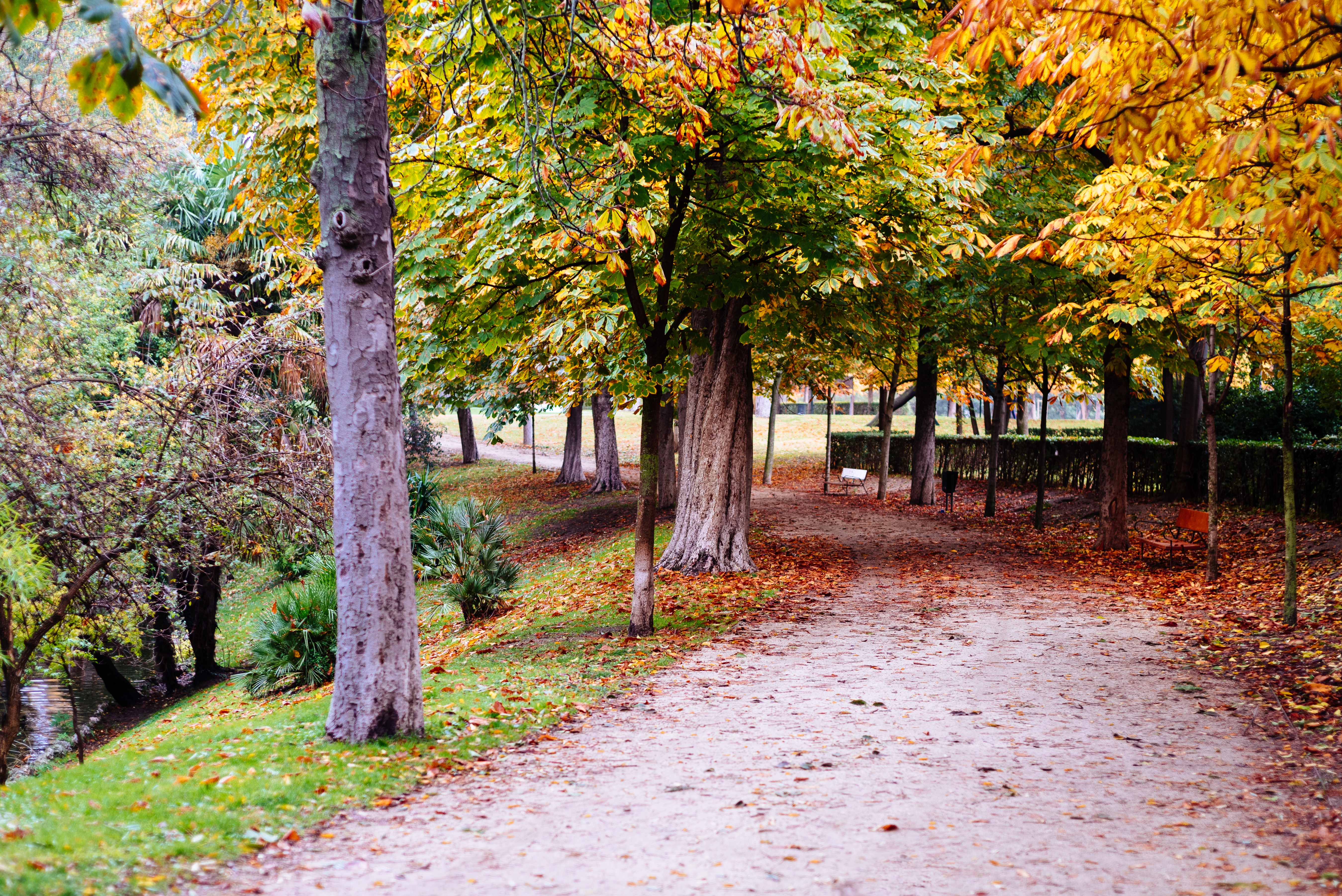 El parque del Retiro, en Madrid, en pleno otoño.