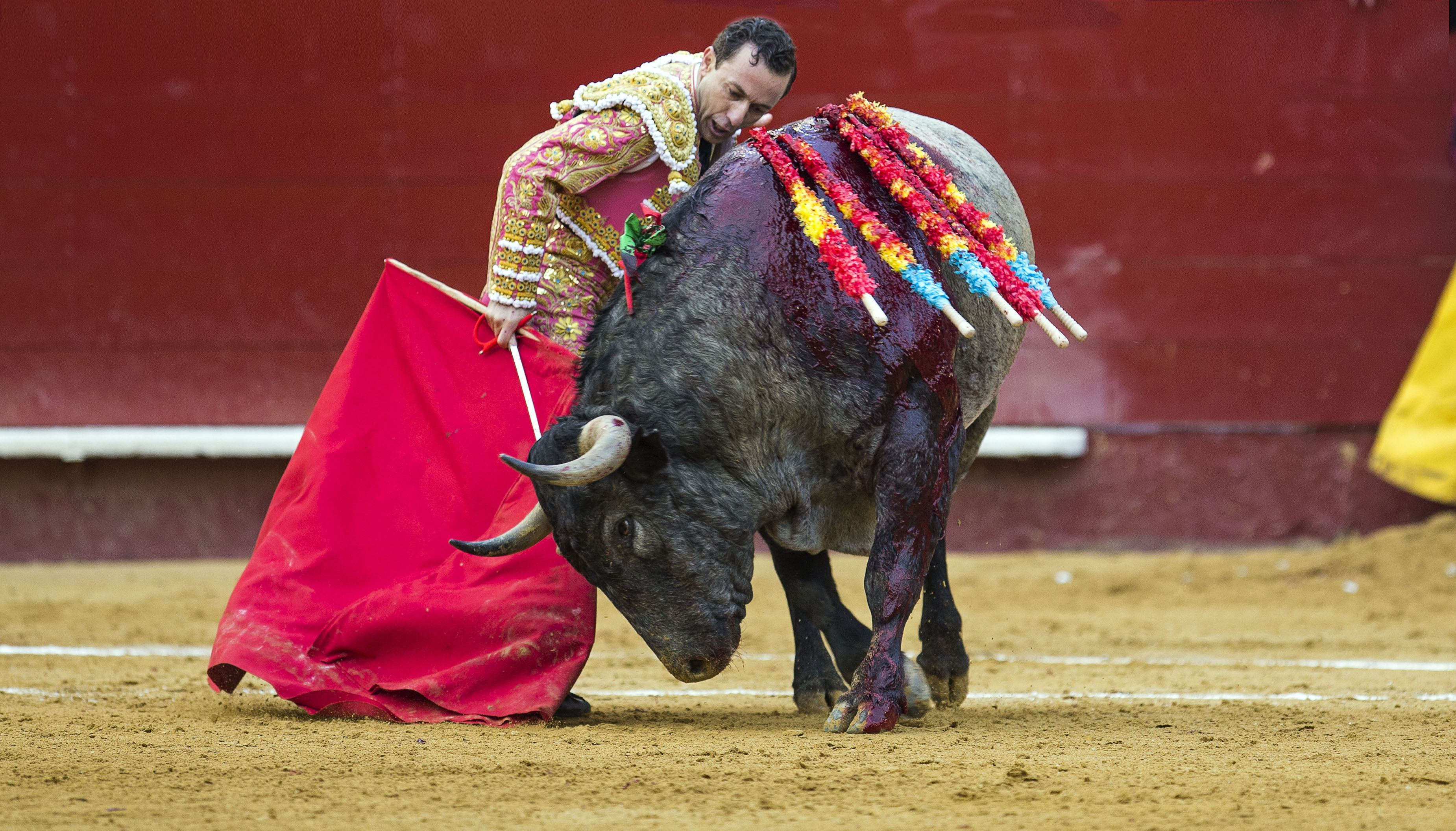 El diestro murciano Rafael Rubio "Rafaelillo", durante su faena con la muleta a "Madroño", de la ganadería de Adolfo Martín, al que cortó una oreja.