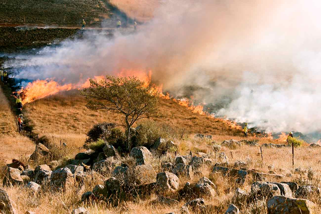 Científicos proponen hacer pequeños fuegos controlados para evitar otros mayores