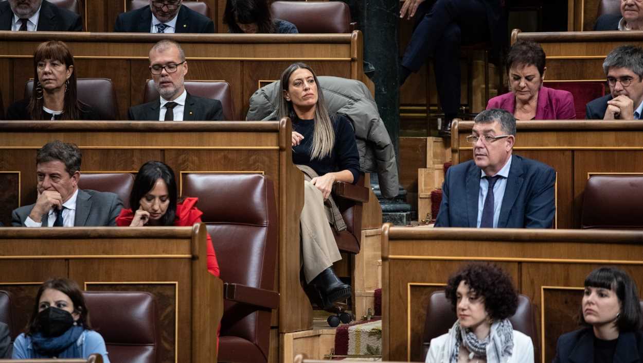 Los socios de Sánchez piden tramitar la ley de amnistía por la vía de urgencia. EP