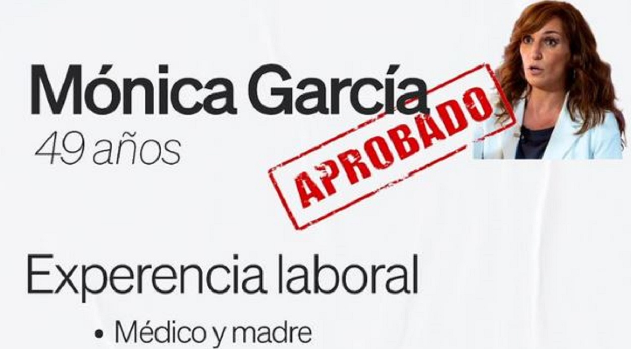 CV fake de Mónica García
