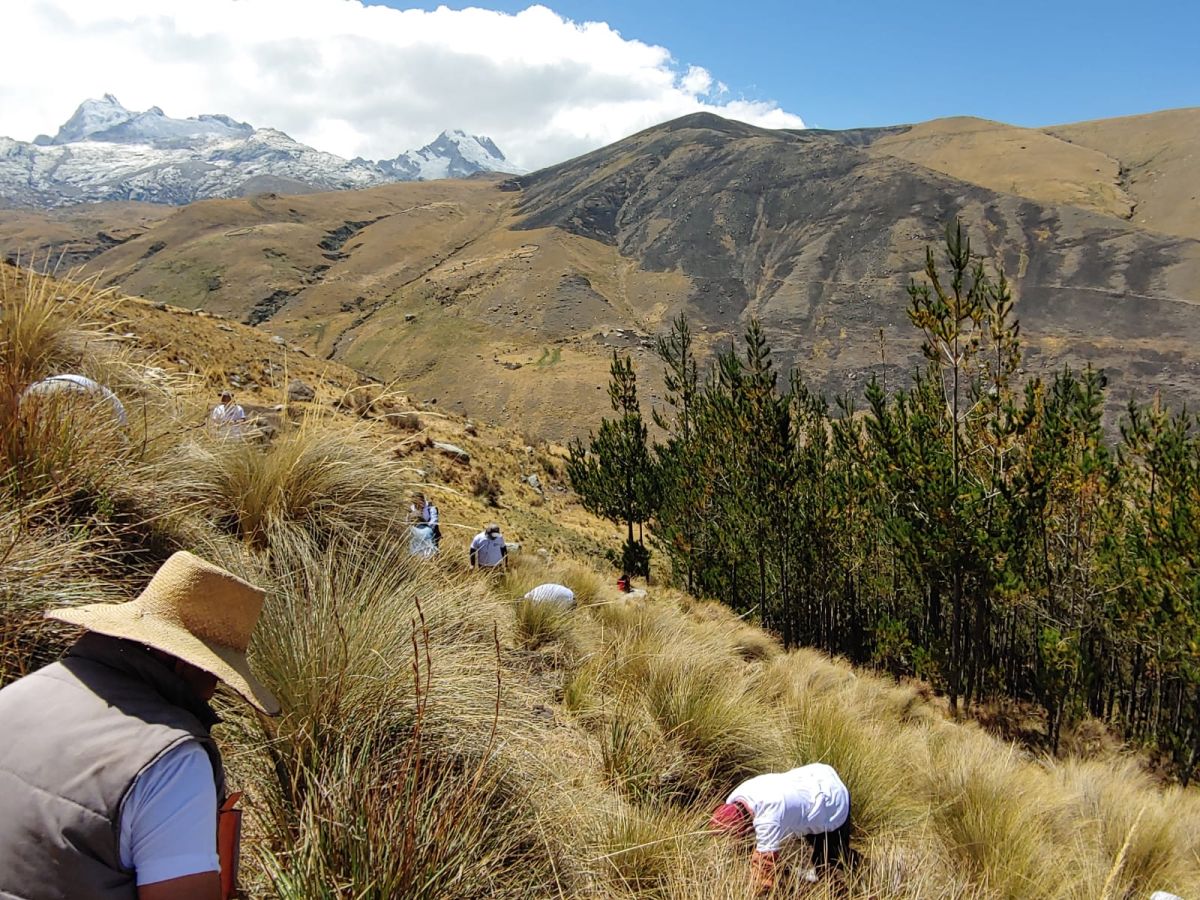 CO2 Revolution en Perú. Foto de CO2 Revolution