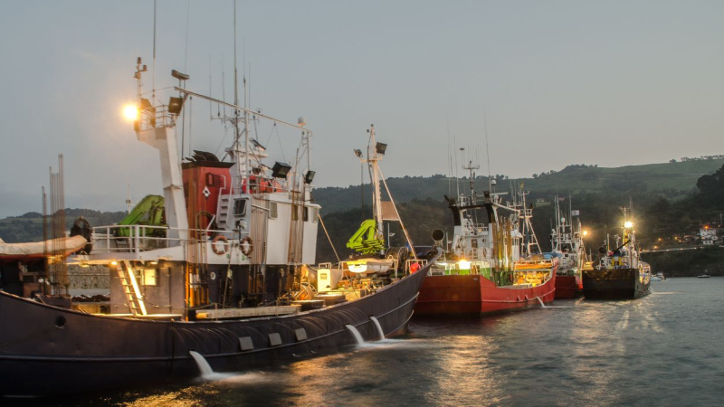 Barcos amarrados en el puerto pesquero de Guetaria, País Vasco.