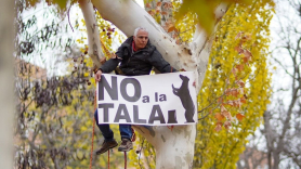 Tala de árboles en Arganzuela. EP