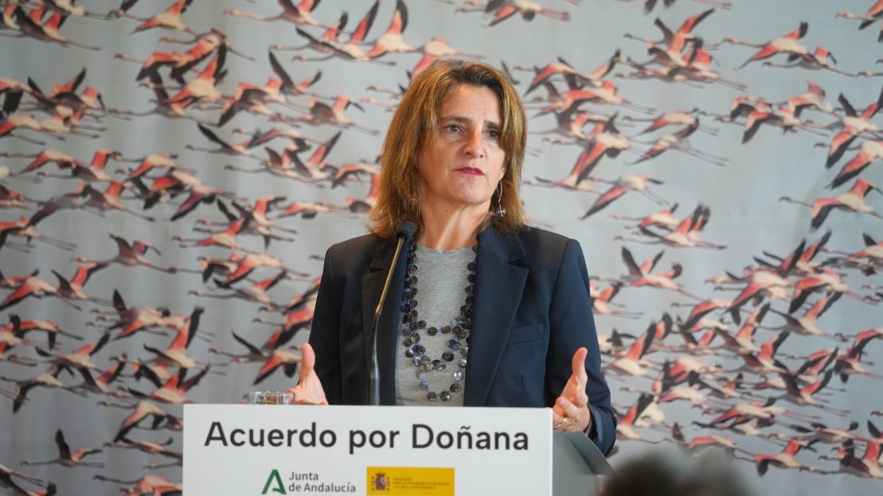 La ministra de Transición Ecológica, Teresa Ribera, tras la firma del acuerdo del protocolo del Parque Nacional de Doñana. EP.