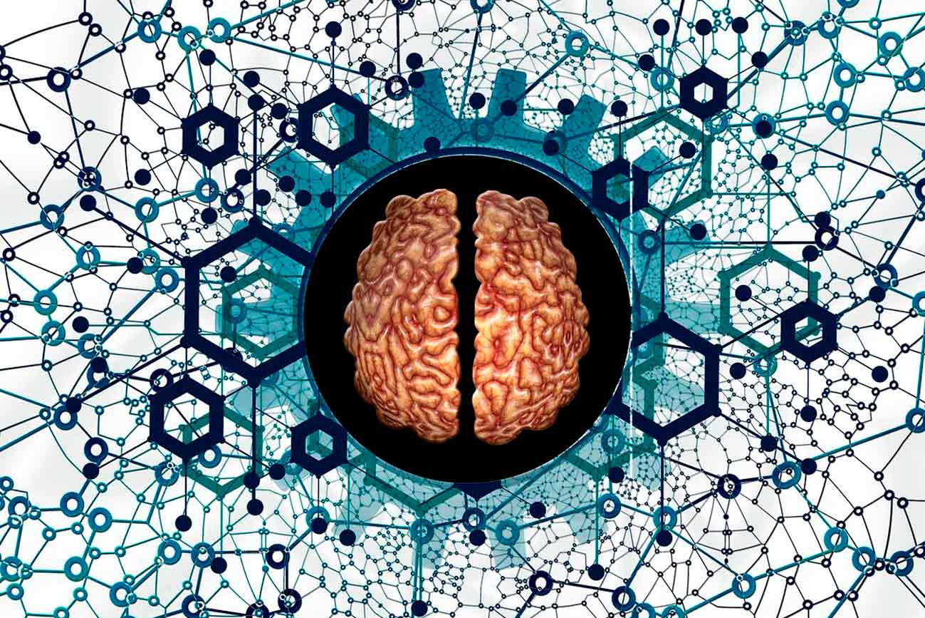 Un experimento para descubrir el algoritmo de nuestro cerebro