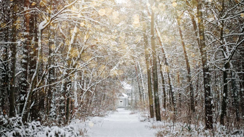 ¿Cuándo empieza el invierno?