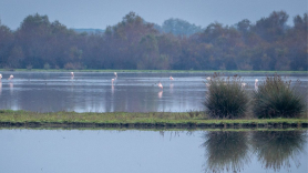 Imágenes del Coto de Doñana antes de la firma del acuerdo del protocolo del Parque Nacional de Doñana.EP