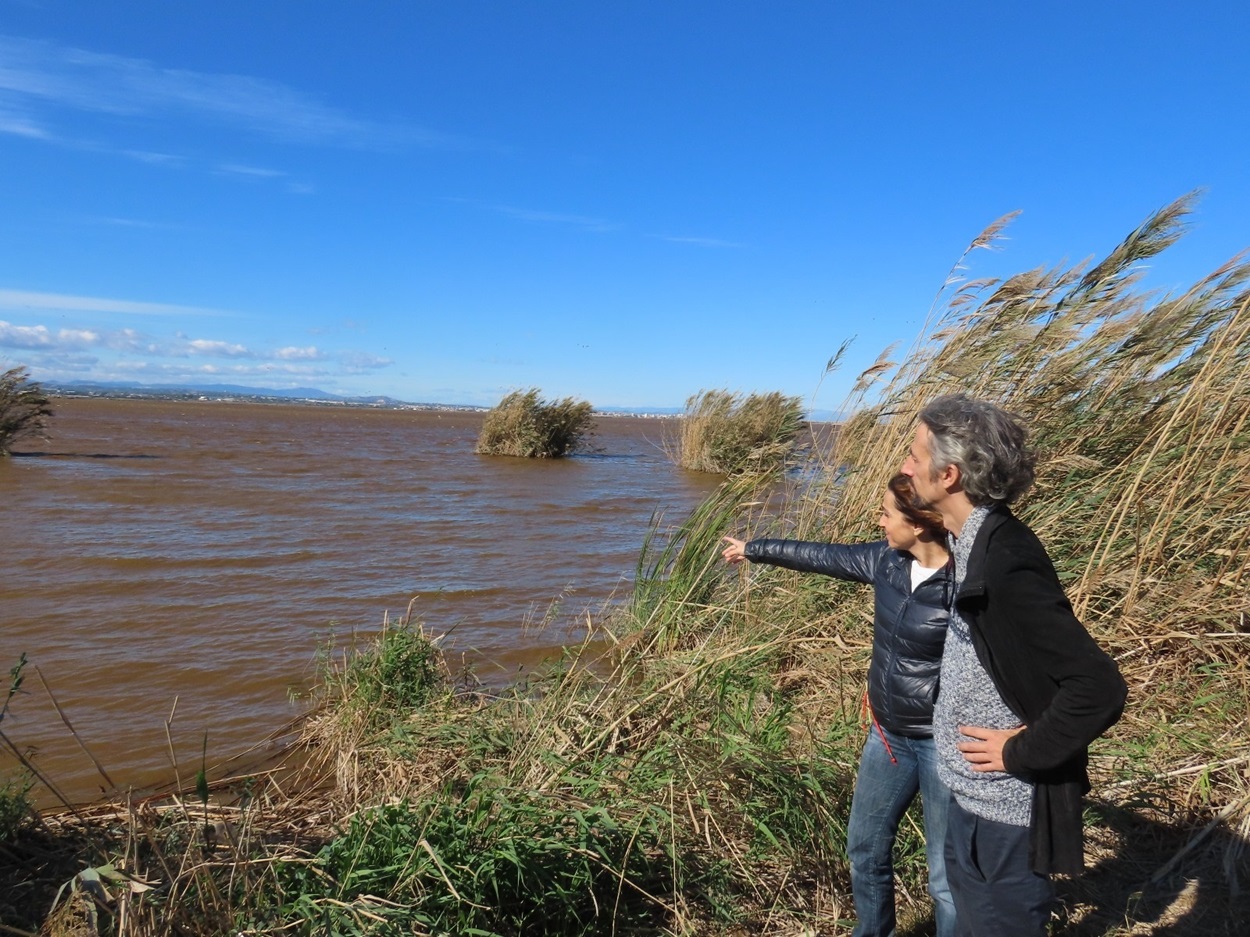 Compromís alerta del color rojizo que presenta el agua de la Albufera y reclama en Medio Ambiente que lo estudie.