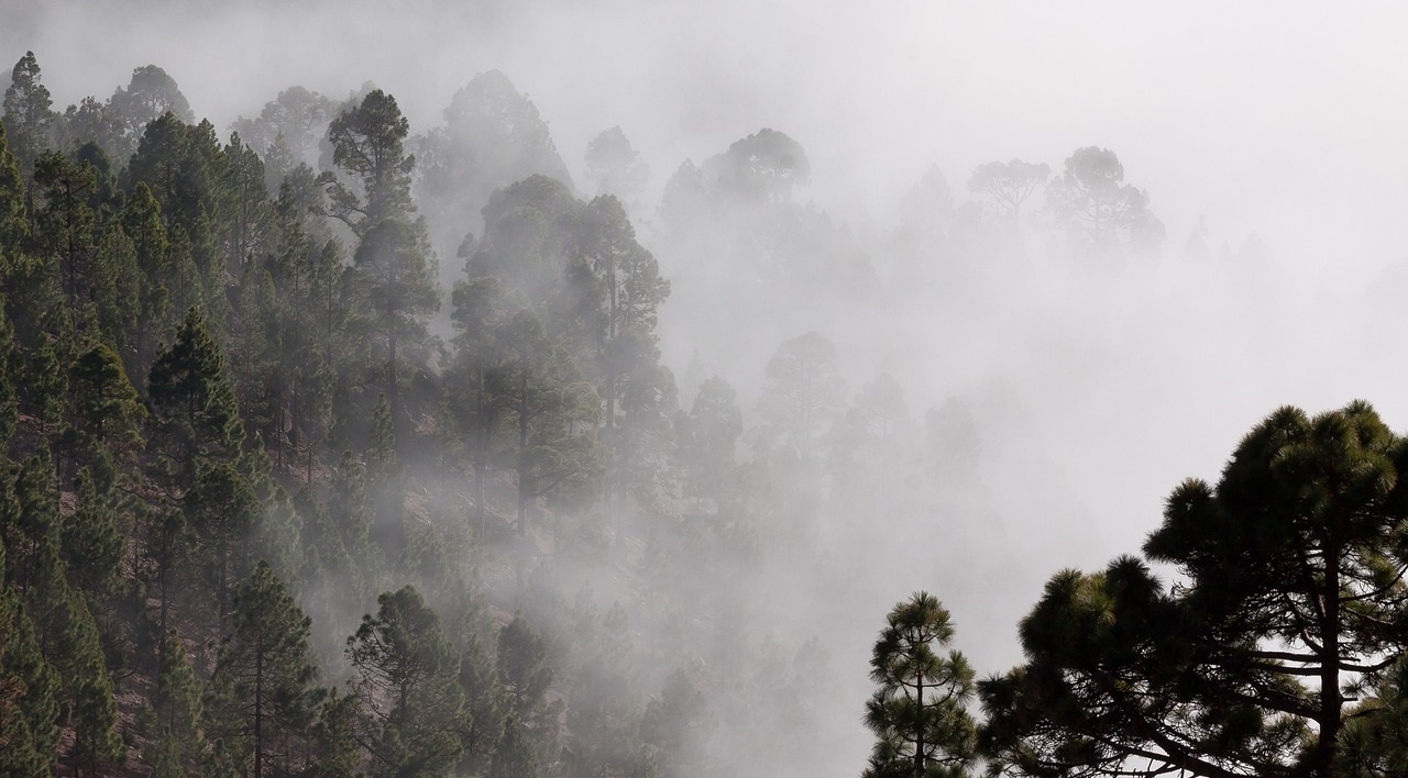 Imagen de recurso de un paisaje con niebla. Pixabay.