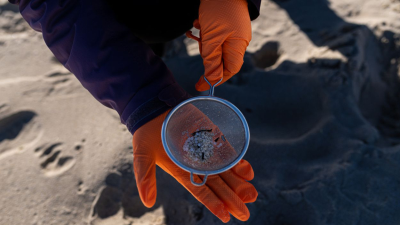 Voluntarios recogen vertidos de pellets de plástico en las playas de Galicia y Asturias. Europa Press.