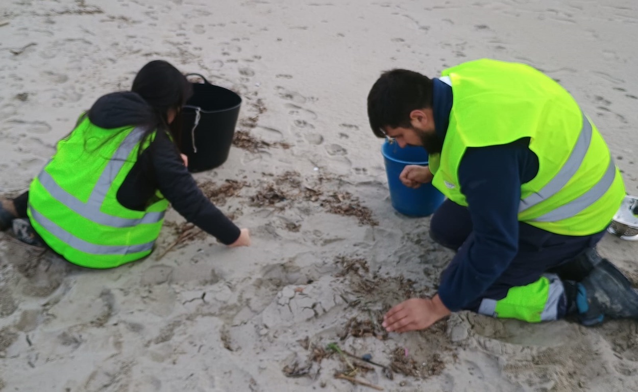 Retirada de microplásticos, pellets, en la playa de Peñarronda, en Asturias. EP