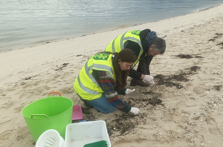 Voluntarios de Ecoloxistas en Acción recogiendo pellets en una playa gallega (Foto: Ecoloxistas).
