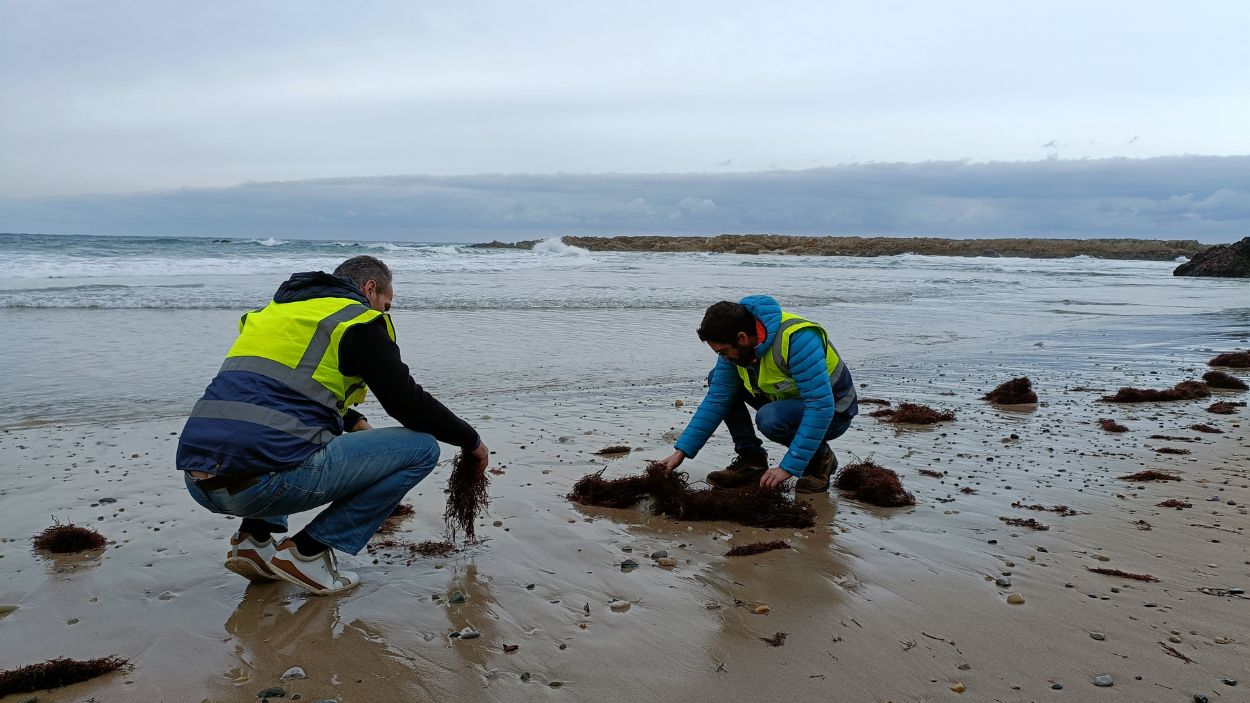 Voluntarios recogen pellets de la playa