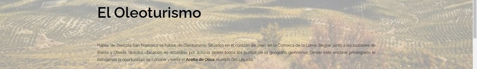 Página web de OleoTurismo de Jaén. Página web de OleoTurismo de Jaén.