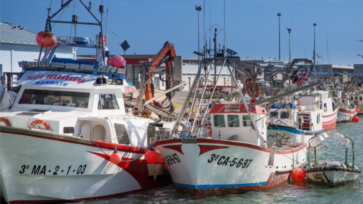 Adelante Andalucía pide el cese del director de Pesca por unas ayudas concedidas a dos empresas con las que tenía vinculación. Adelante Andalucía pide el cese del director de Pesca por unas ayudas concedidas a dos empresas con las que tenía vinculación.