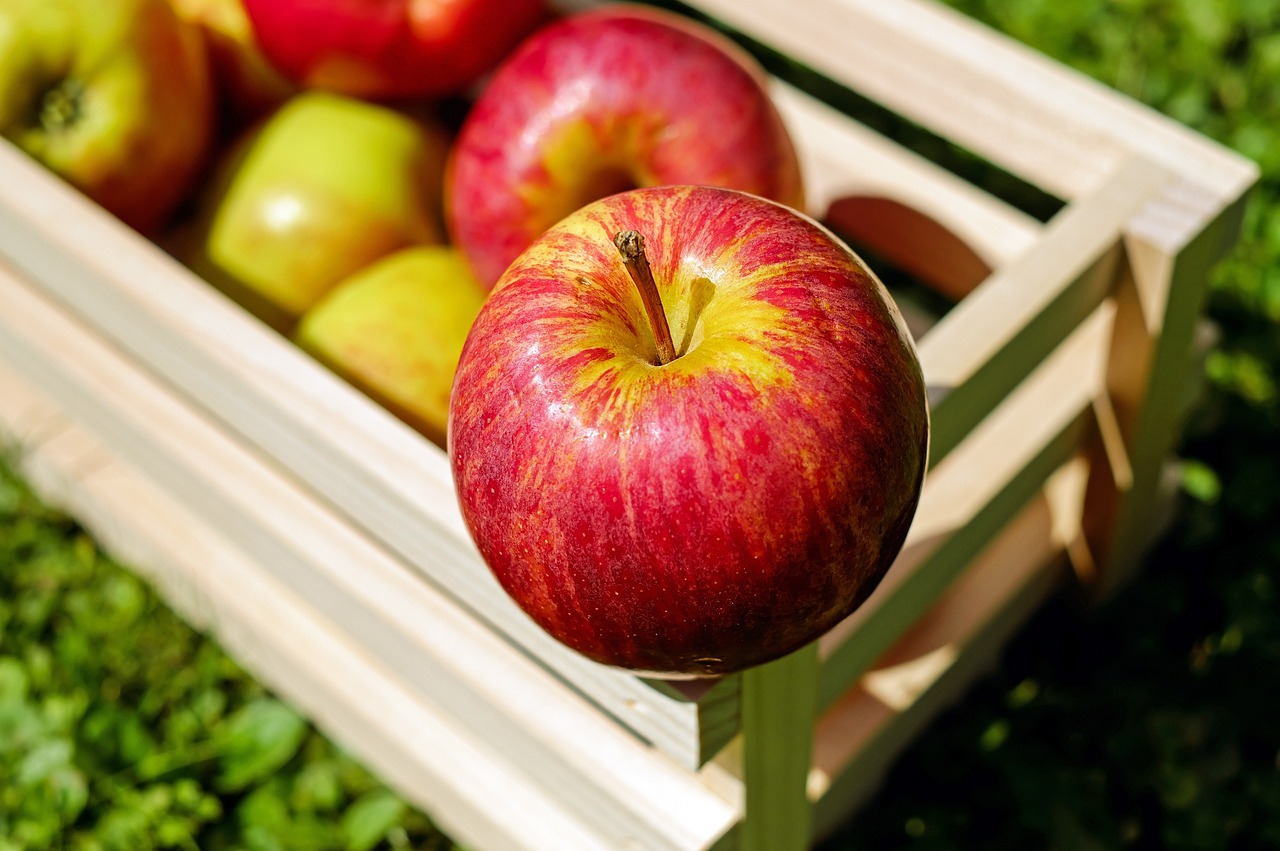 Recogida de manzanas. Pixabay.