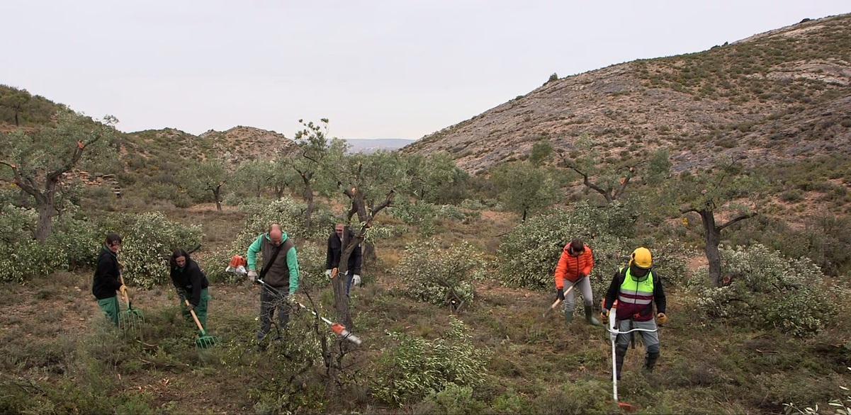 Entre los proyectos elegidos se encuentran también varios relacionados con el medio ambiente. 