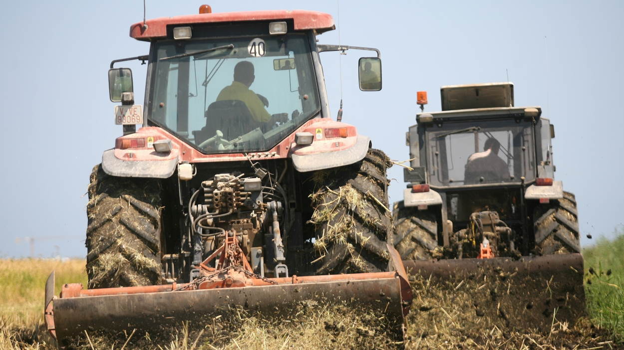 El Gobierno confirma otros 269 millones de ayudas por la sequía para 140.000 agricultores. EP.