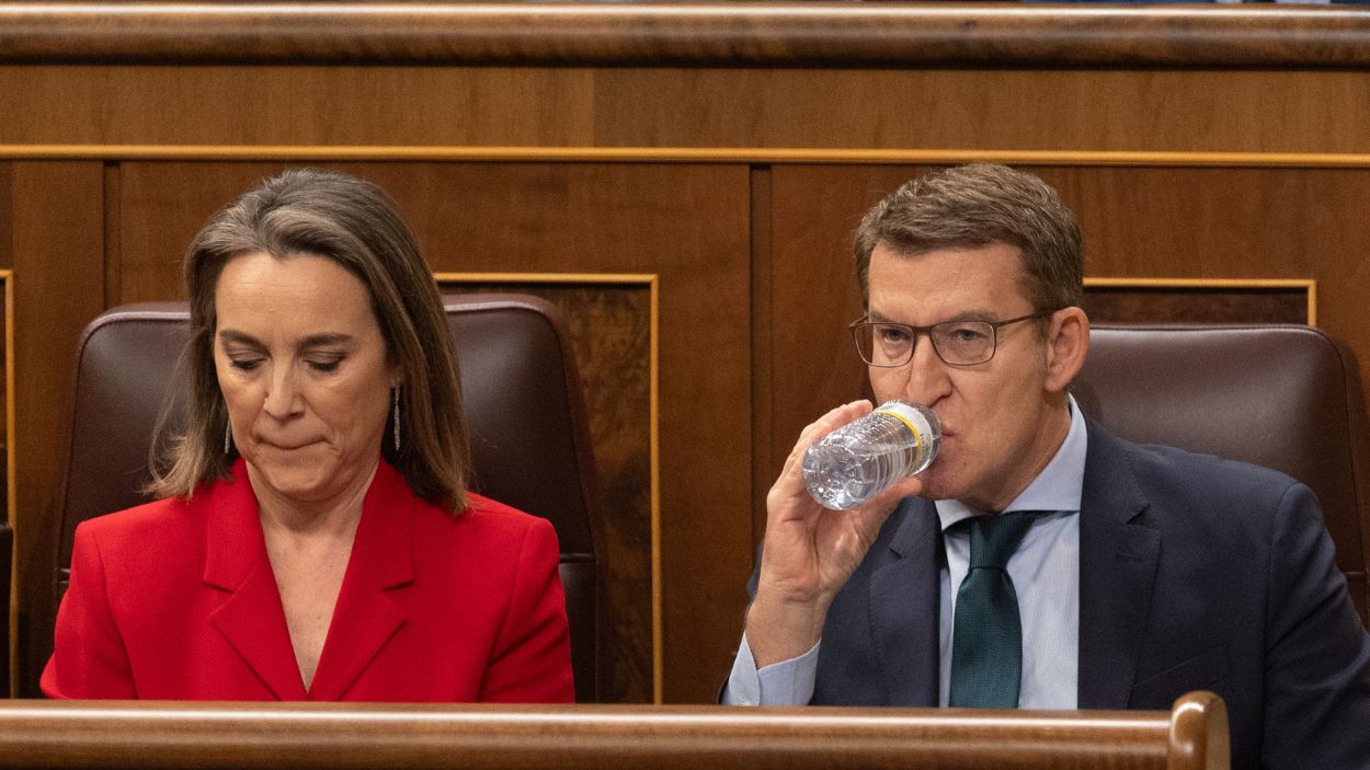 La secretaria general del PP, Cuca Gamarra y el presidente del PP, Alberto Núñez Feijóo, durante una sesión de control al Gobierno, en el Congreso de los Diputados, a 7 de febrero de 2024, en Madr