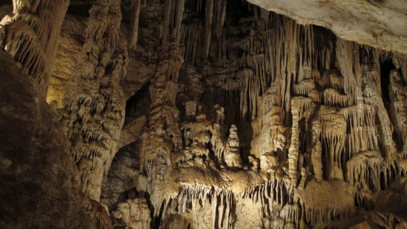 Cueva de los Murciélagos, ubicada en Zuheros, Cordoba. Junta de Andalucía
