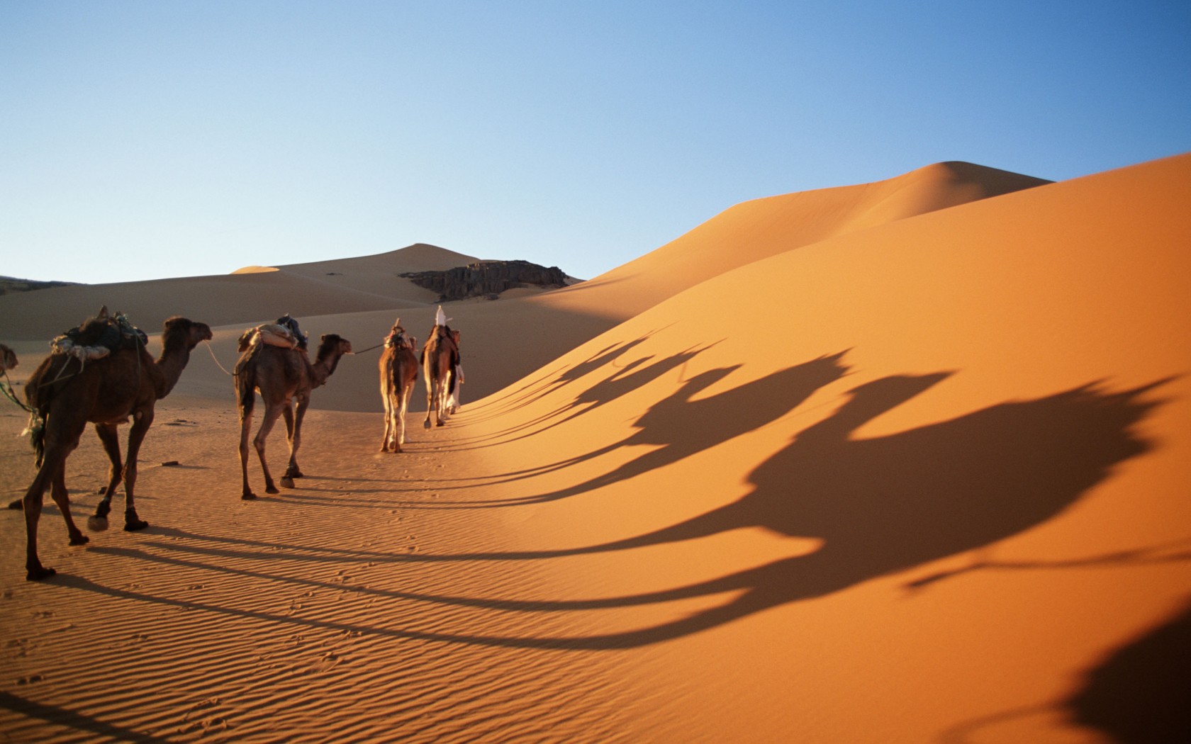 El Sáhara el desierto más grande de África