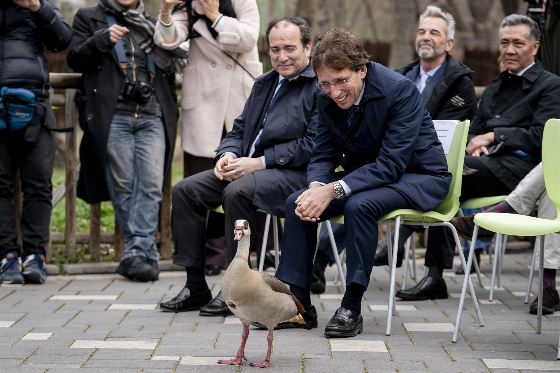 El alcalde de Madrid, José Luis Martínez-Almeida, mira a un pato durante un acto institucional sobre el programa de conservación del panda gigante, en el Zoo Aquarium de Madrid.